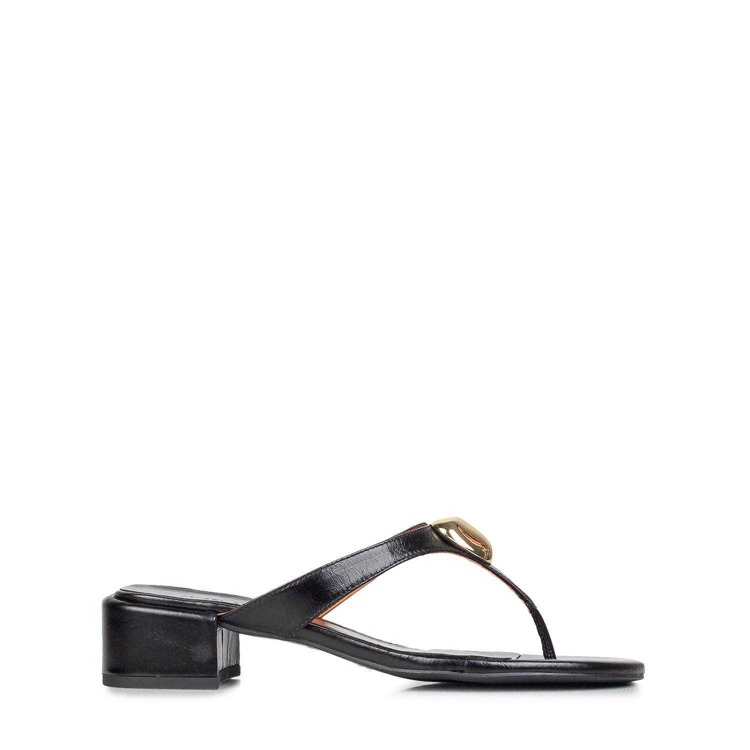 Πέδιλα-Σανδάλια γυναικεία Angel Alarcon Μαύρο 26050-332A 262