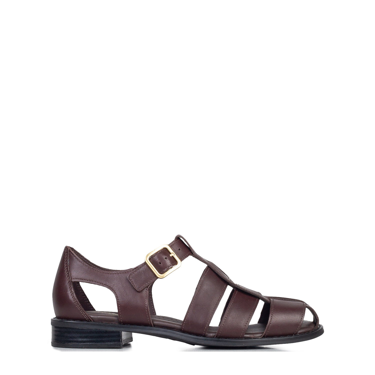 Πέδιλα-Σανδάλια γυναικεία Clarks Καφέ 26185911 Hana Sun 262