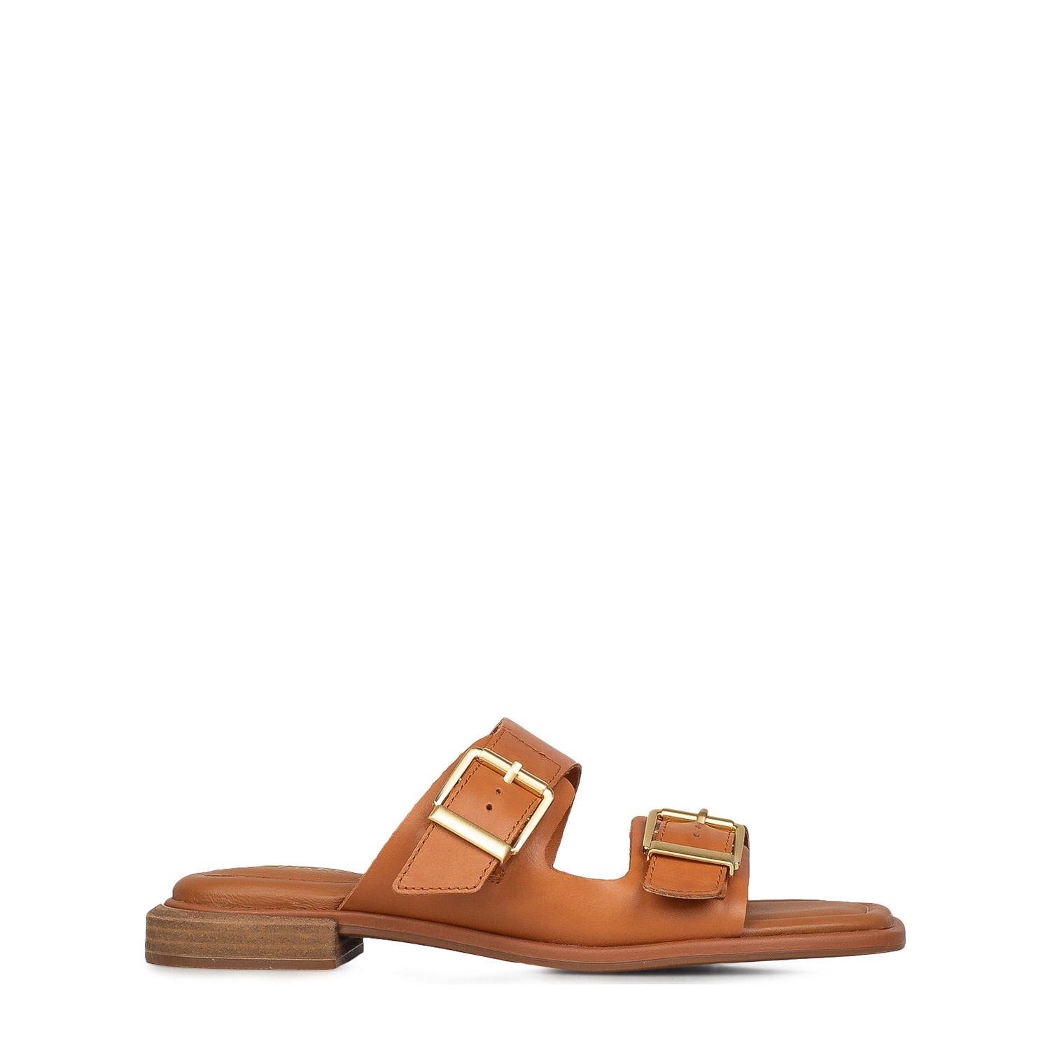 Πέδιλα-Σανδάλια γυναικεία Clarks Ταμπά 26185805 Ariany Bay 262