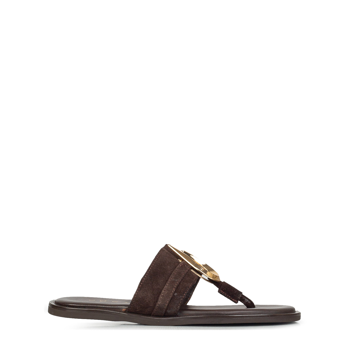 Πέδιλα-Σανδάλια γυναικεία Etheras Καφέ 500-01 262